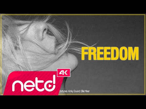 Toldortunes & Kinky Sound feat. Ellie Meer - Freedom