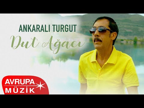 Ankaralı Turgut - Dut Ağacı (Official Audio)
