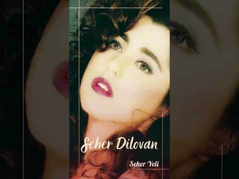 Seher Dilovan - Ah Neyleyim #seherdilovan  #nostalji #müzik #türkhalkmüziği